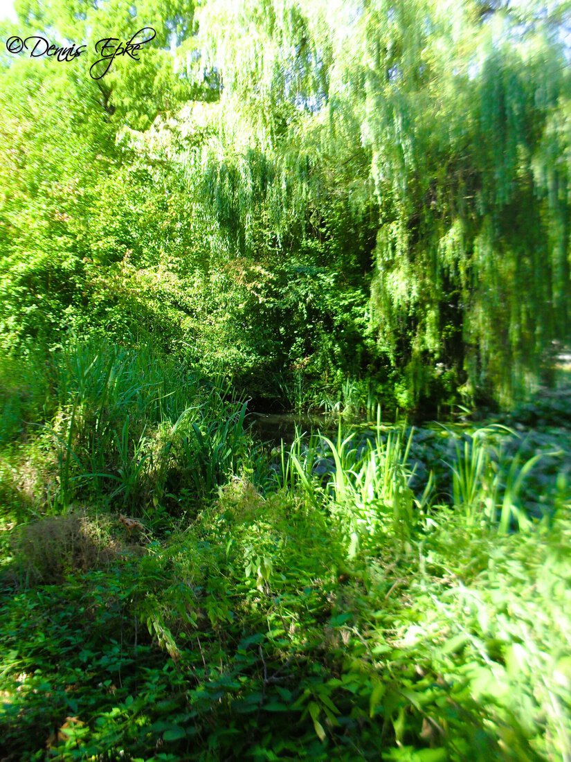 Muziektuin Beek en Donk