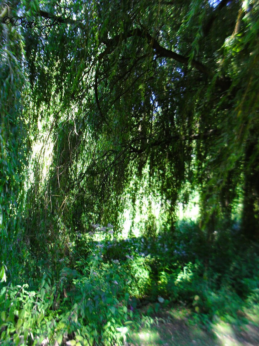 Muziektuin Beek en Donk