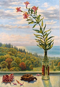 Portret van de schildpad.