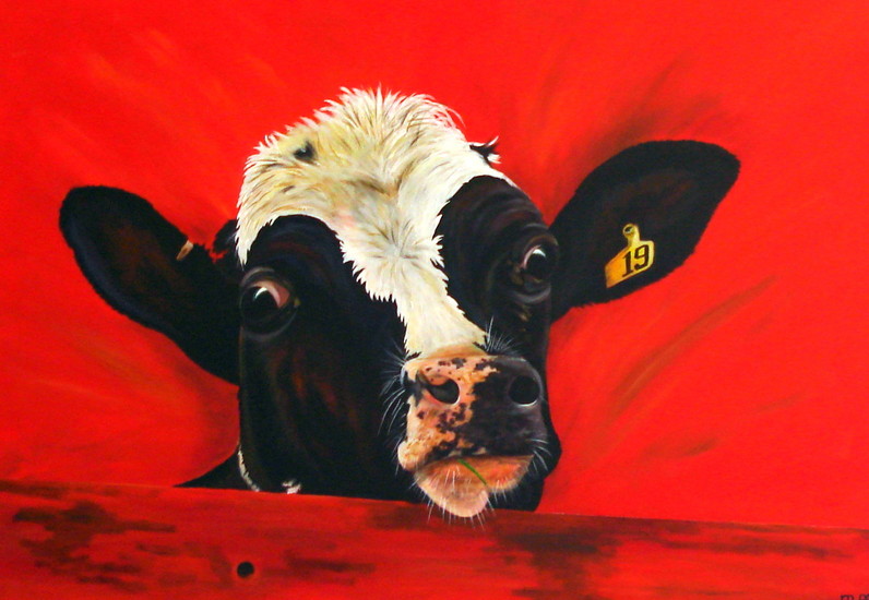 Nieuwsgierige Noortje