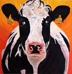 Portretten van voornamelijk koeien