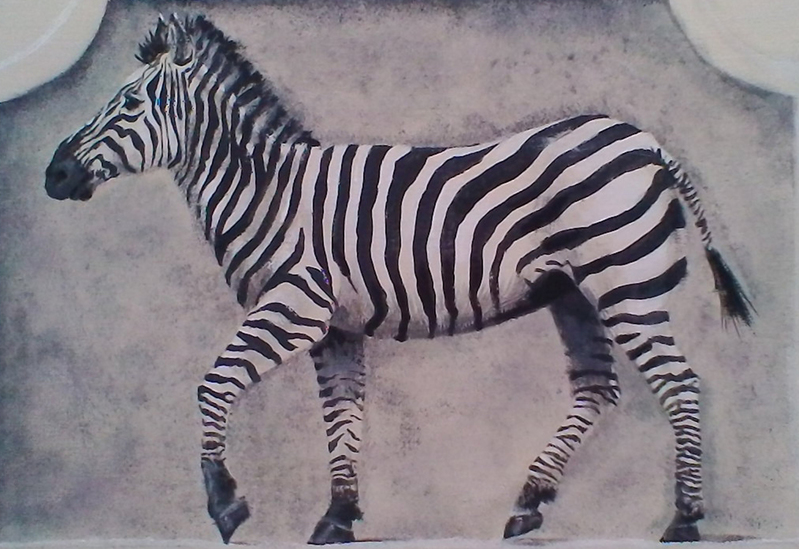 Zebra