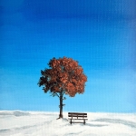 Under the Red Tree