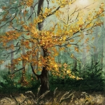 Forest Glow