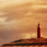 Copycat - Anne Kiwitz