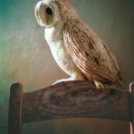 Copycat - Michiel Hageman