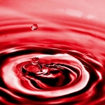 Copycat - Monique Hofstad