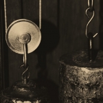 Kracht - Petra van Loon