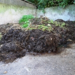 Organisch - Jos Palm