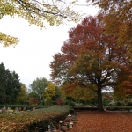 Organisch - Jos Palm