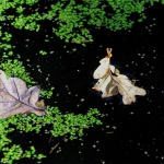 Organisch - Martin van der Kemp