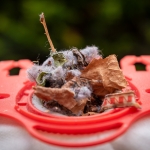 Organisch - Michiel Hageman