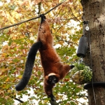 Ondersteboven - Jos Palm