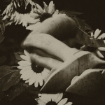 Surrealisme - Anne Kiwitz