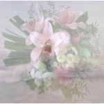 Surrealisme - Jos Palm