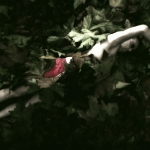 Surrealisme - Michiel Hageman