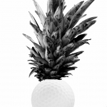 Surrealisme - Monique Hofstad