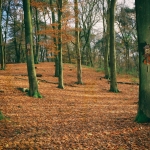 Tijd - Michiel Hageman