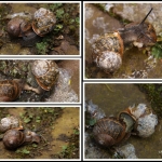 Reportage - Anne Kiwitz