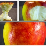 Reportage - Hennie Jansen