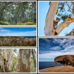 Reportage - Linda Overbeek