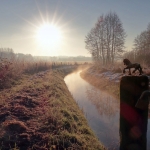 Zelfde voorwerp II - Anne Kiwitz