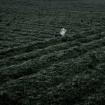 Zelfde voorwerp I - Jan Hoetink