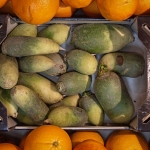 Zelfde voorwerp I - Michiel Hageman