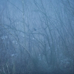 Zelfde voorwerp I - Paul Roelofs