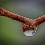 Minimalisme - Hennie Jansen