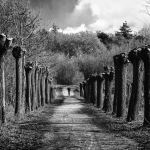 Minimalisme - Hennie Jansen