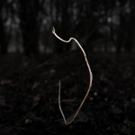 Minimalisme - Michiel Hageman