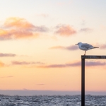 Minimalisme - Linda Overbeek