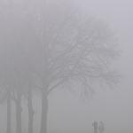 Minimalisme - Karin Ormel