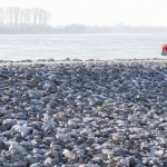 Minimalisme - Jos Palm