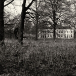 Gulden Snede - Anne Kiwitz