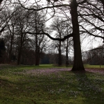 Gulden Snede - Anne Kiwitz