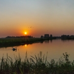 Gulden Snede - Hennie Jansen