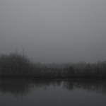 Gulden Snede - Jan Hoetink