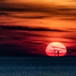 Gulden Snede - Martin van der Kemp