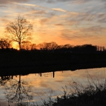 Gulden Snede - Willie Graat