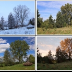 Seriematig - Anne Kiwitz