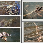 Seriematig - Martin van der Kemp