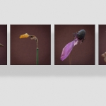 Seriematig - Michiel Hageman