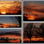 Seriematig - Nico Tiemessen