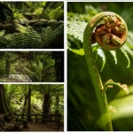 Seriematig - Linda Overbeek