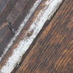 Lijnen - Karin Ormel