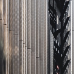 Lijnen - Linda Overbeek