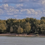 Vrije opdracht - Anne Kiwitz