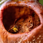 Vrije opdracht - Karin Ormel